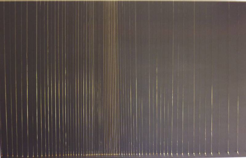 Germination, 2012, mixt technique( guitar strings, acrylic on canvas), 70x110cm