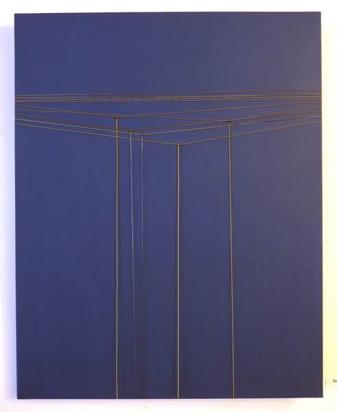 Graphique increases, 2012, mixt technique( guitar strings, acrylic on canvas), 800x100cm